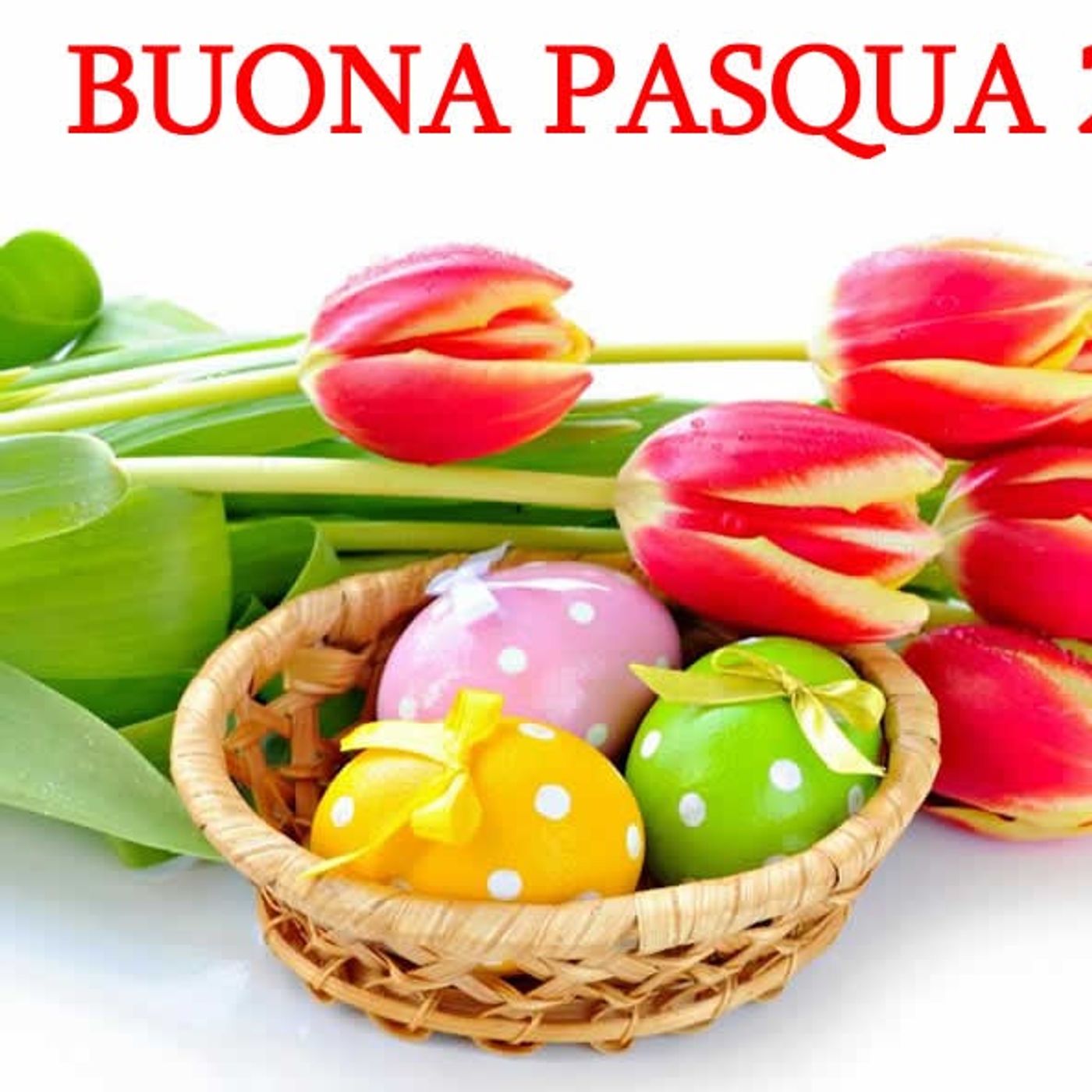 BUONA PASQUA da radioRota!!! episode artwork