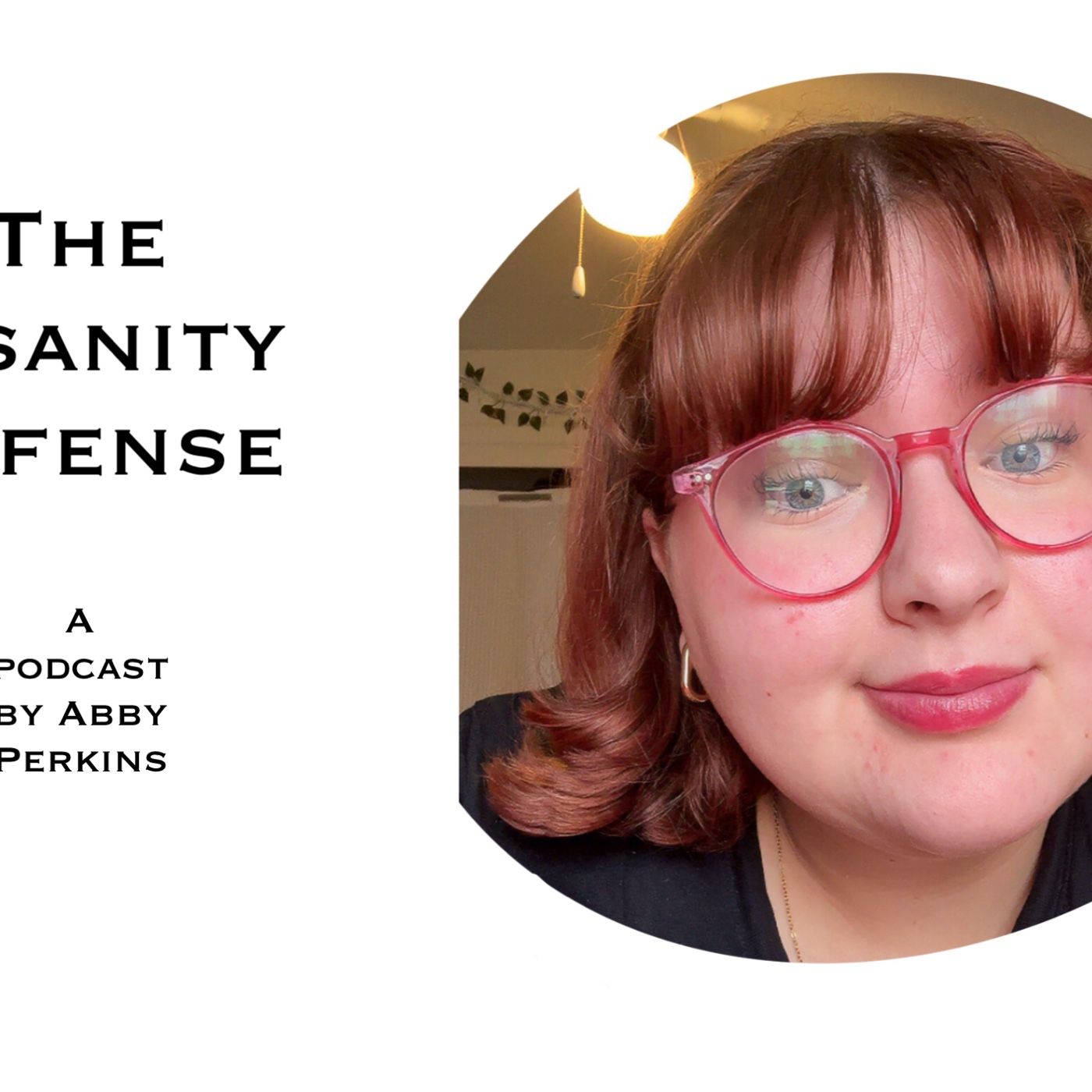 The Insanity Defense