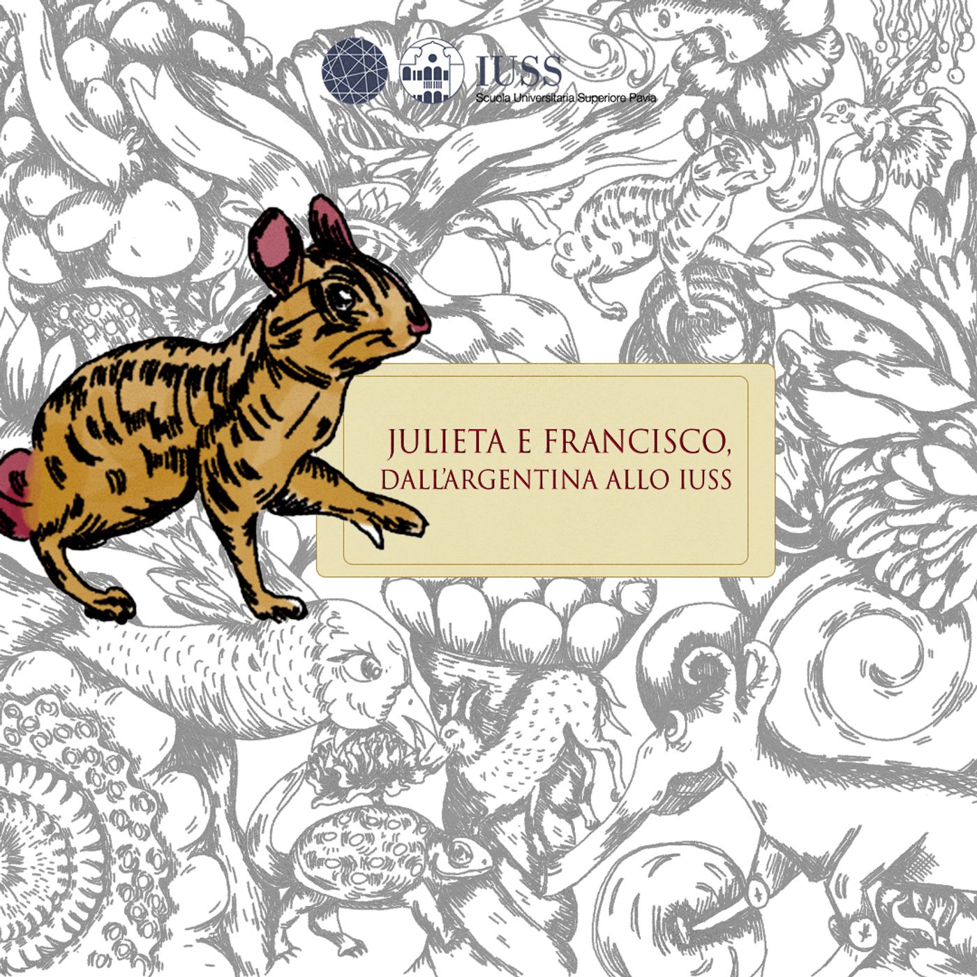 Dall’Argentina allo IUSS per il master, la storia di Julieta e Francisco episode artwork