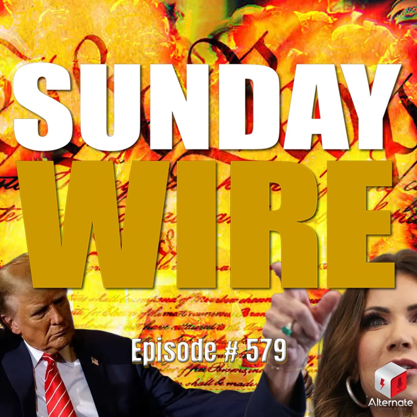 SUNDAY WIRE EP 579 – Latest Public Execution by Trump’s ICE – Fascist Police State is Here
