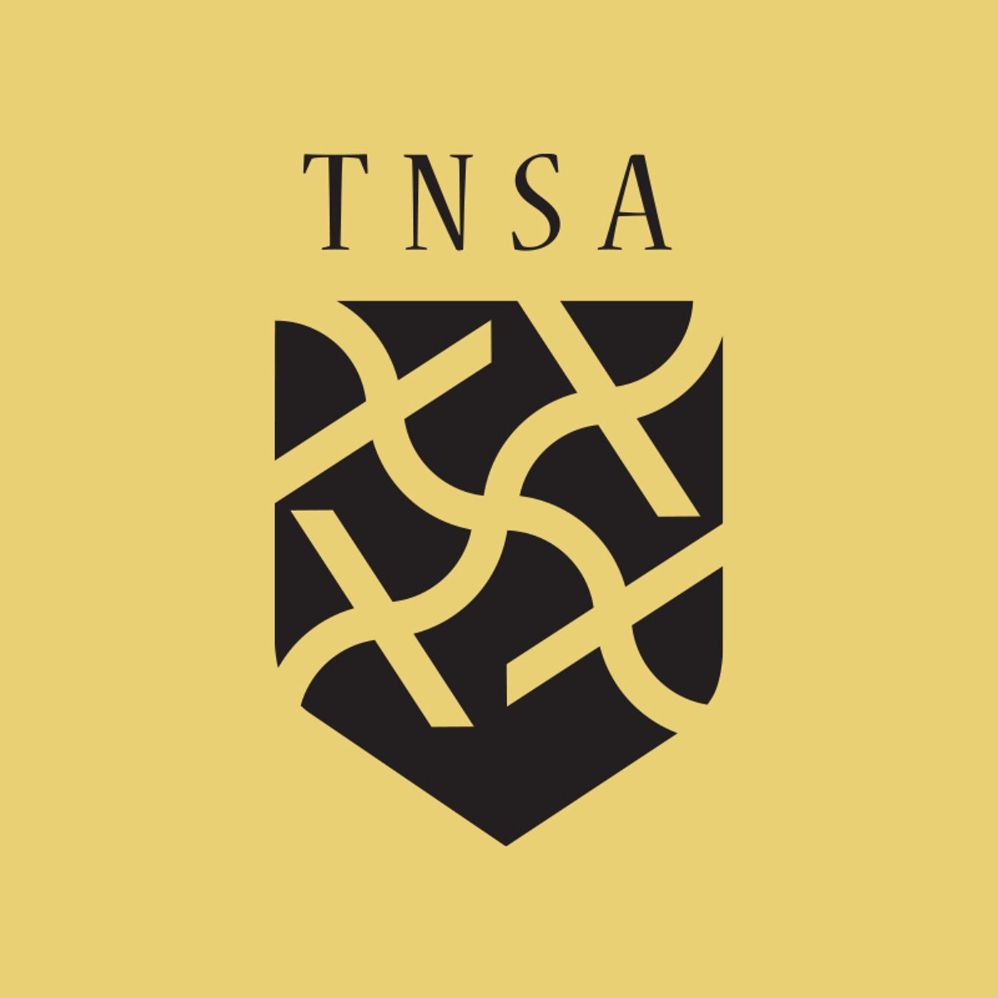 Podcast TNSA podcast artwork