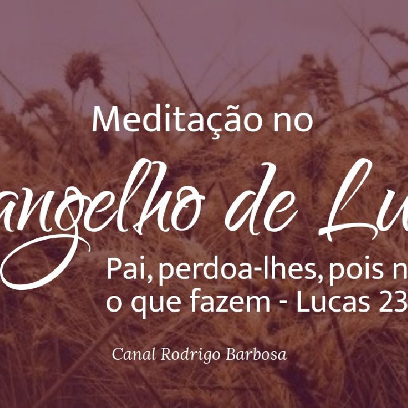 Rodrigo Barbosa