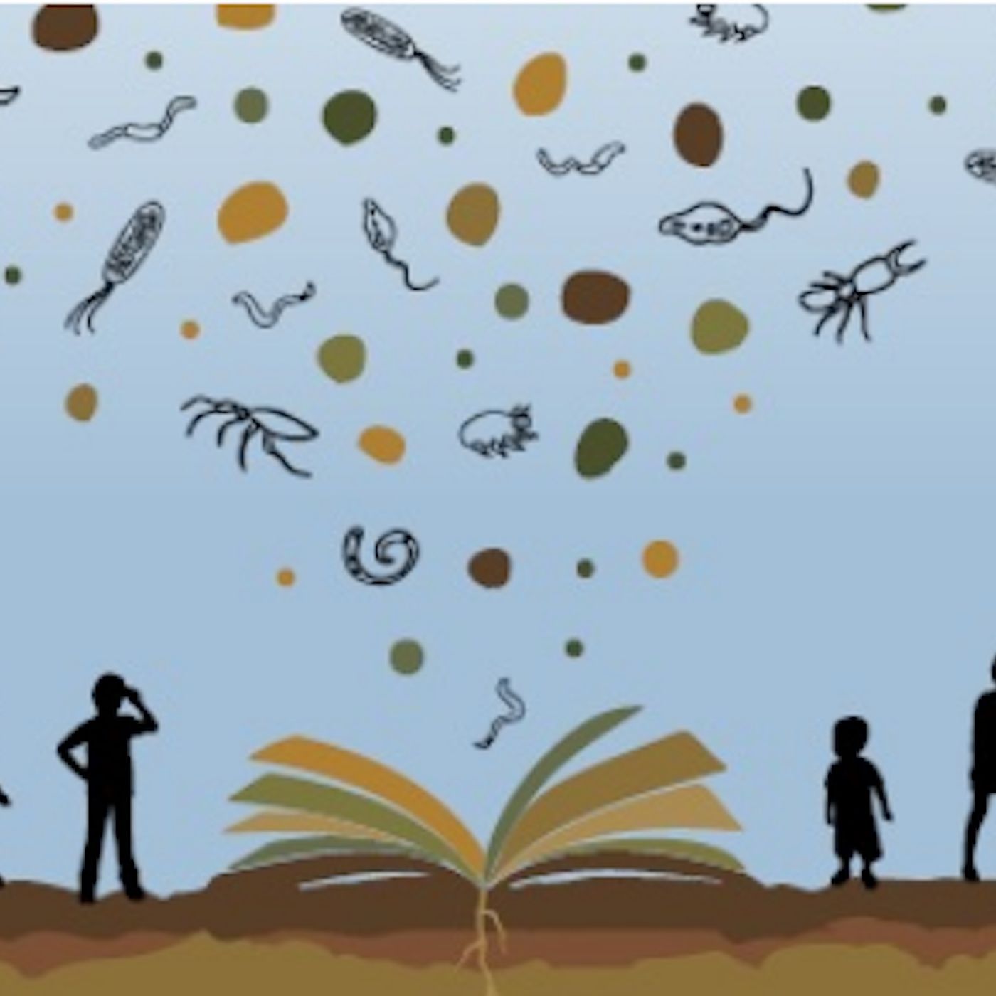 Le news di Re Soil Foundation