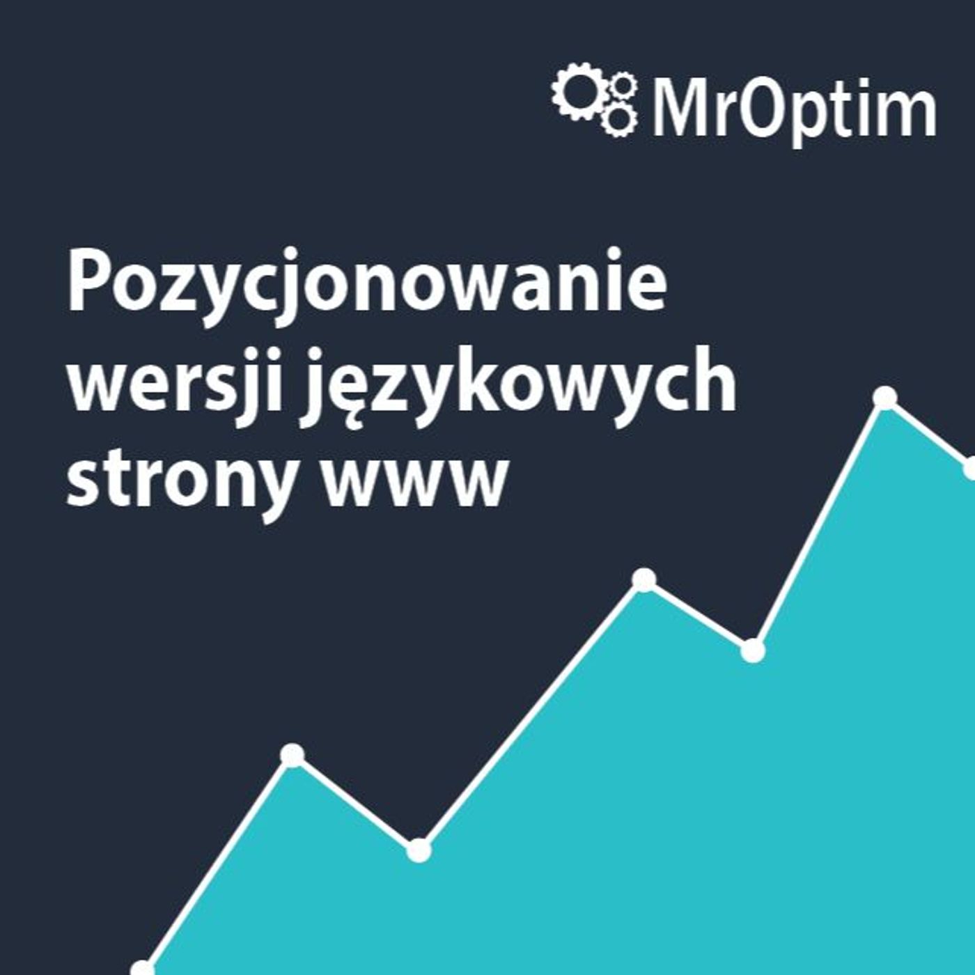 Pozycjonowanie wersji językowej strony na rynkach zagranicznych MrOptim