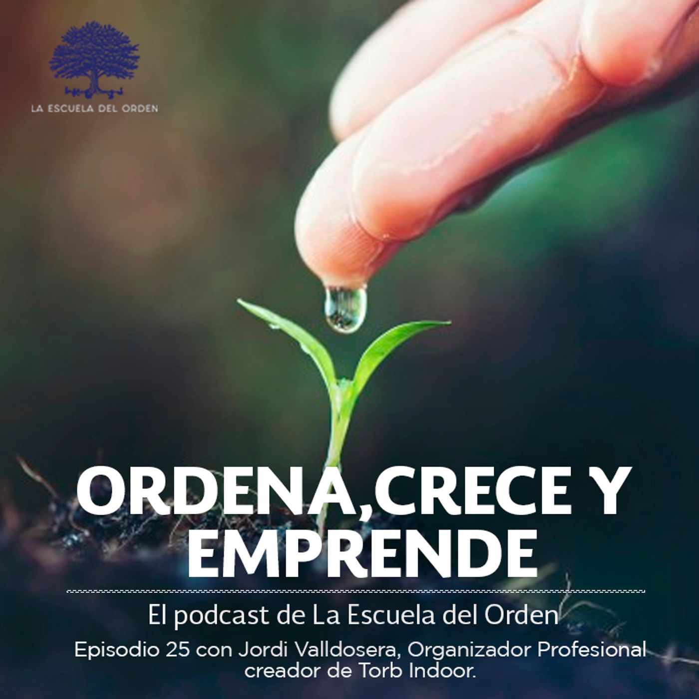 Ordena, crece y emprende
