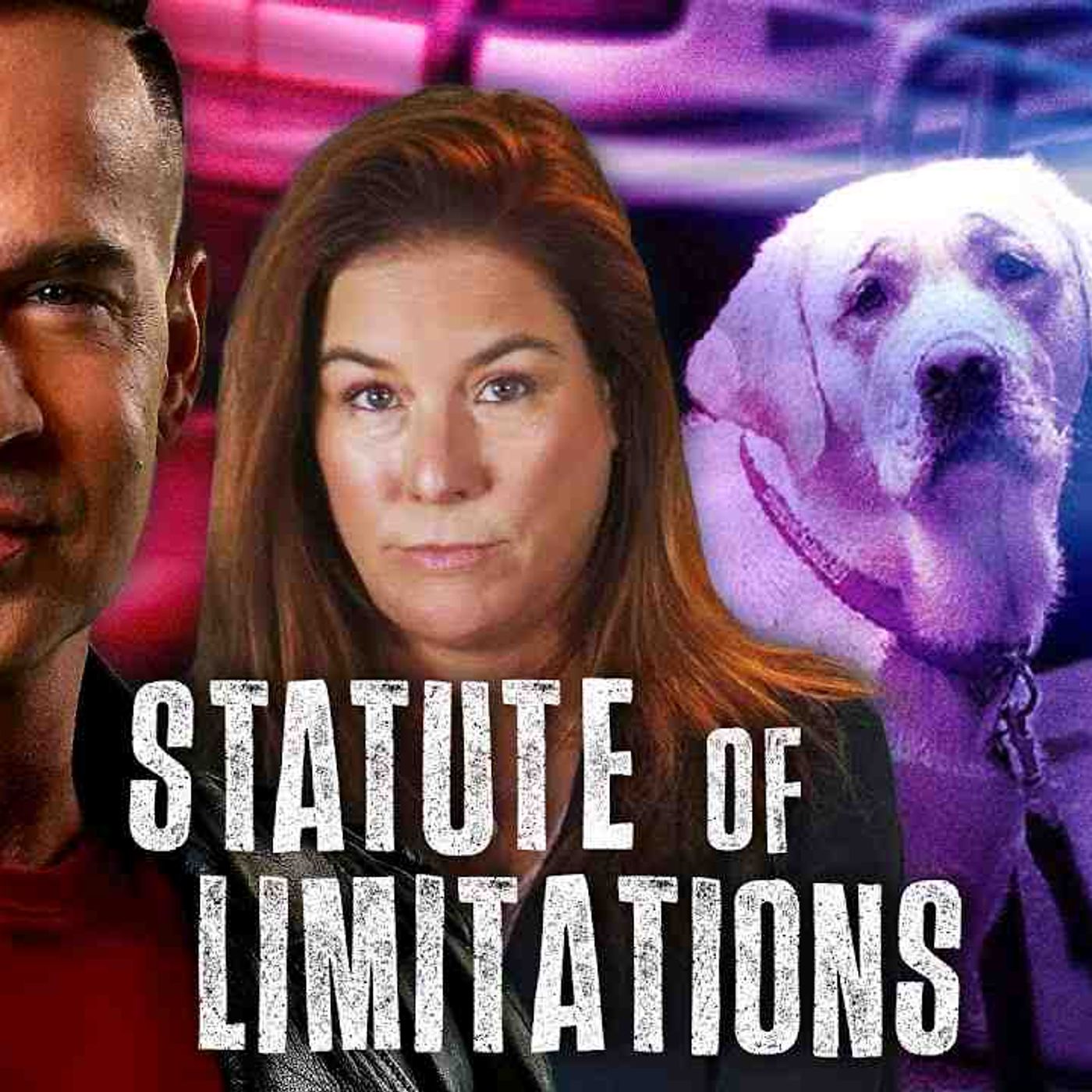 I Had to STEAL my Dog Back_ _ Statute of Limitations hosted by Mike _The Situation_ Sorrentino episode artwork
