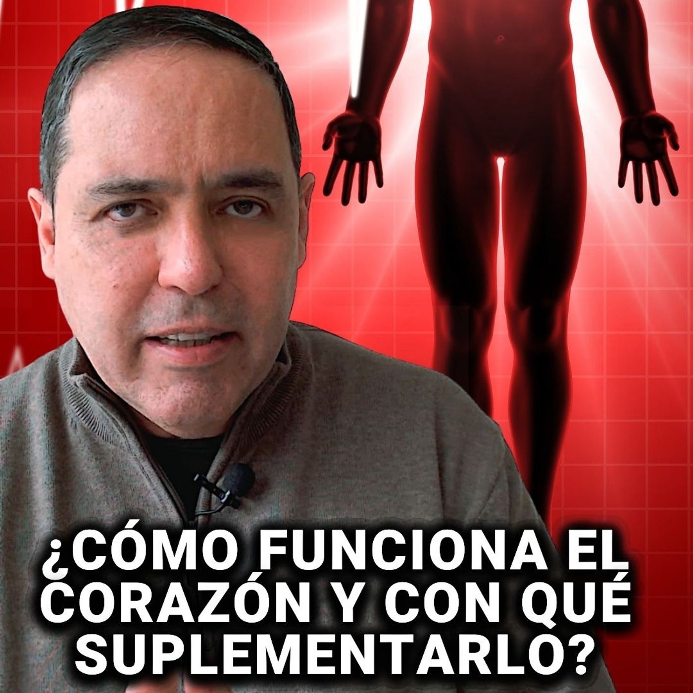 Nuestro CORAZÓN, cómo funciona y conque debemos suplementarlo ❤️