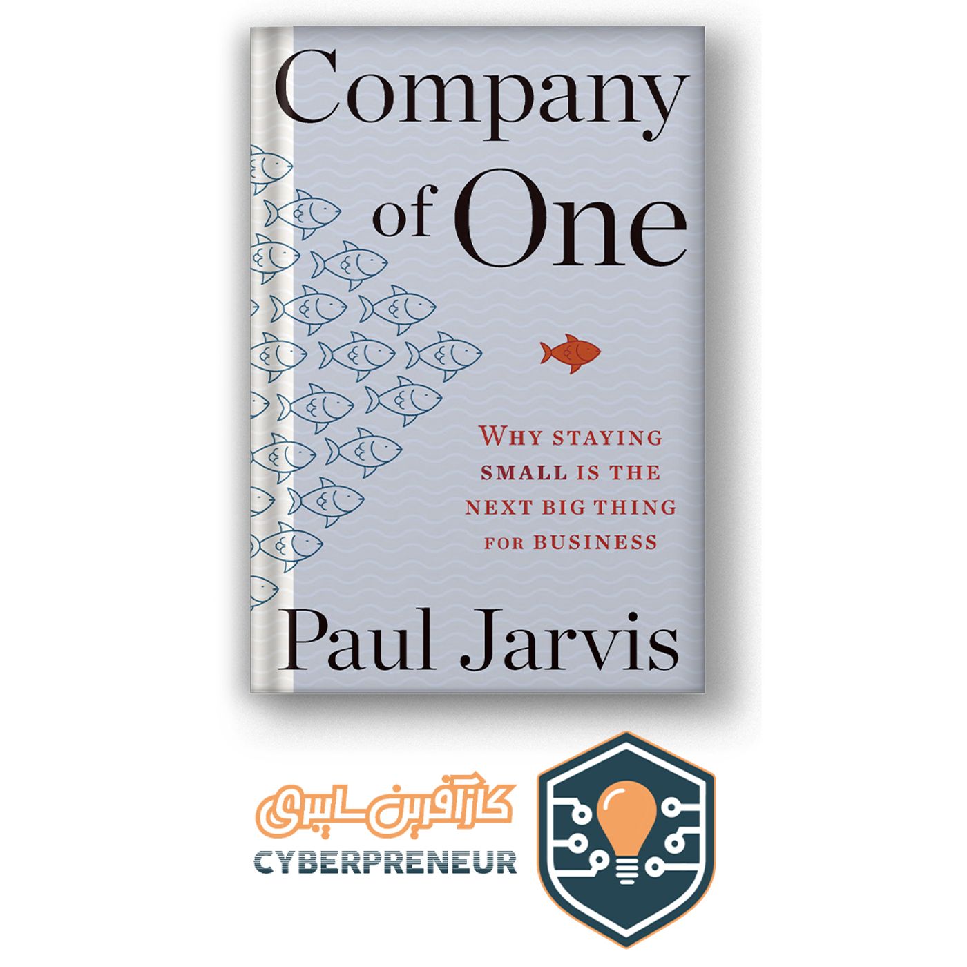 خلاصه کتاب صوتی شرکت تک نفره