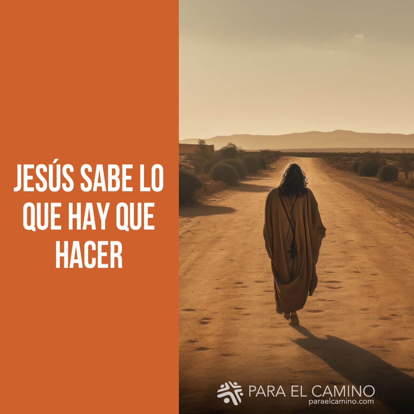 Portada de Para El Camino
