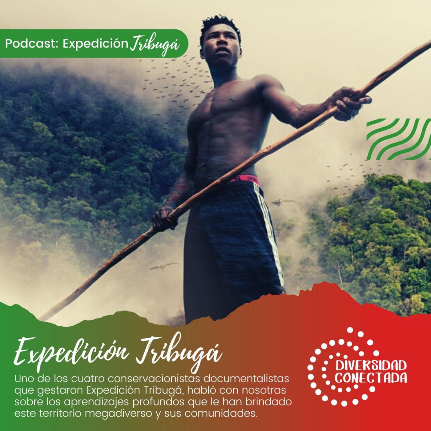 Diversidad Conectada