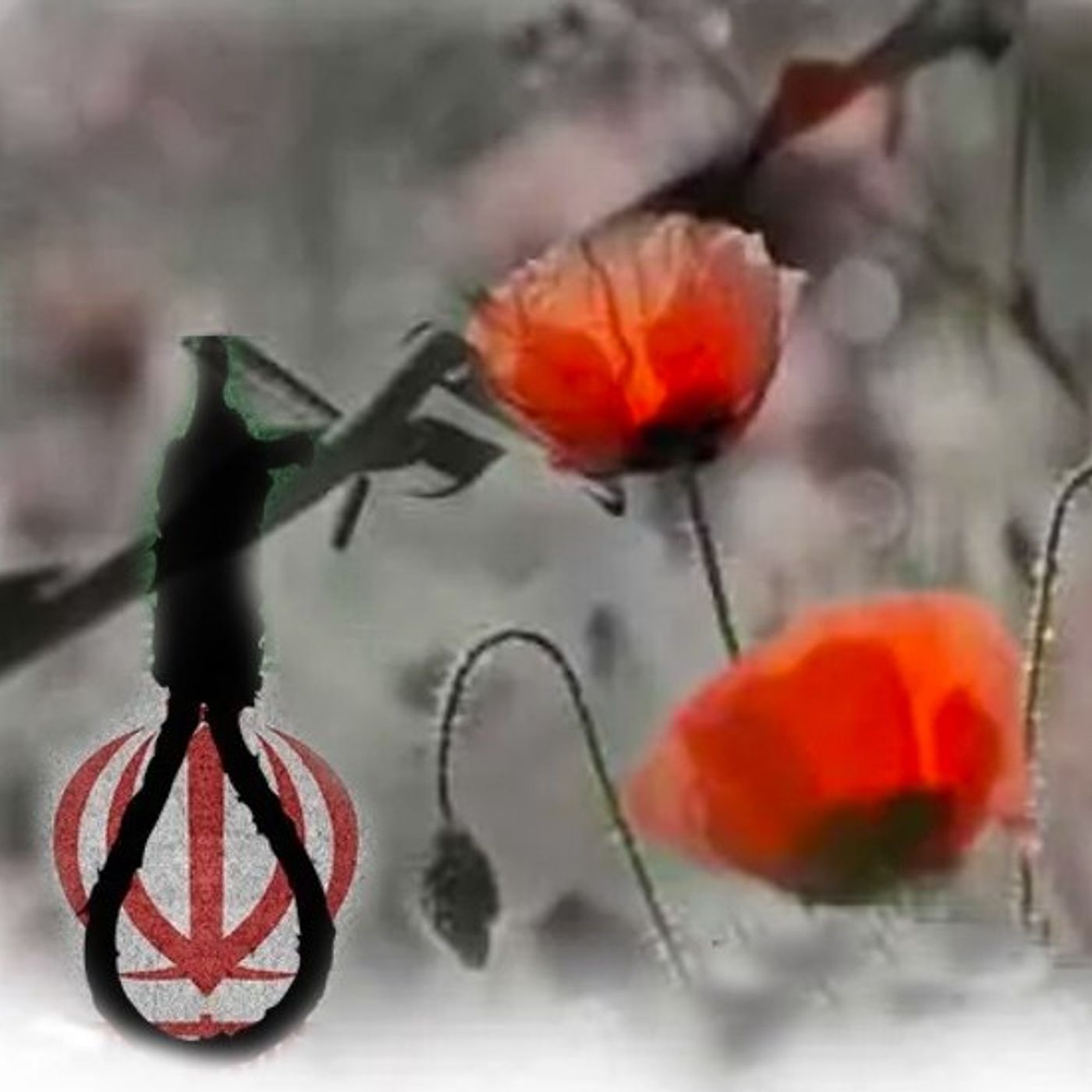 اعدام شقایق؛ تکثیر جانهای شیفته‌ٔ آزادی