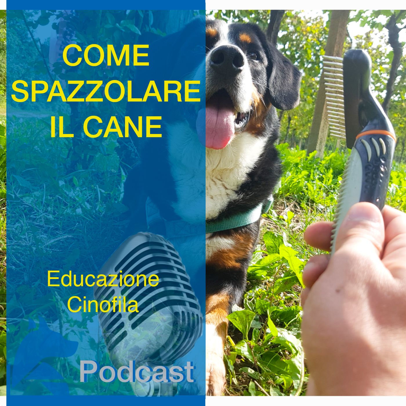 StiCani Educazione Cinofila