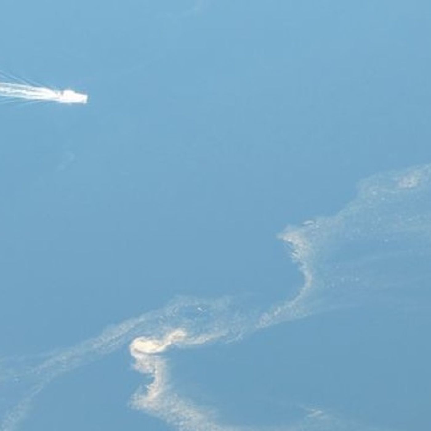 Algae Boom in Puget Sound episode artwork