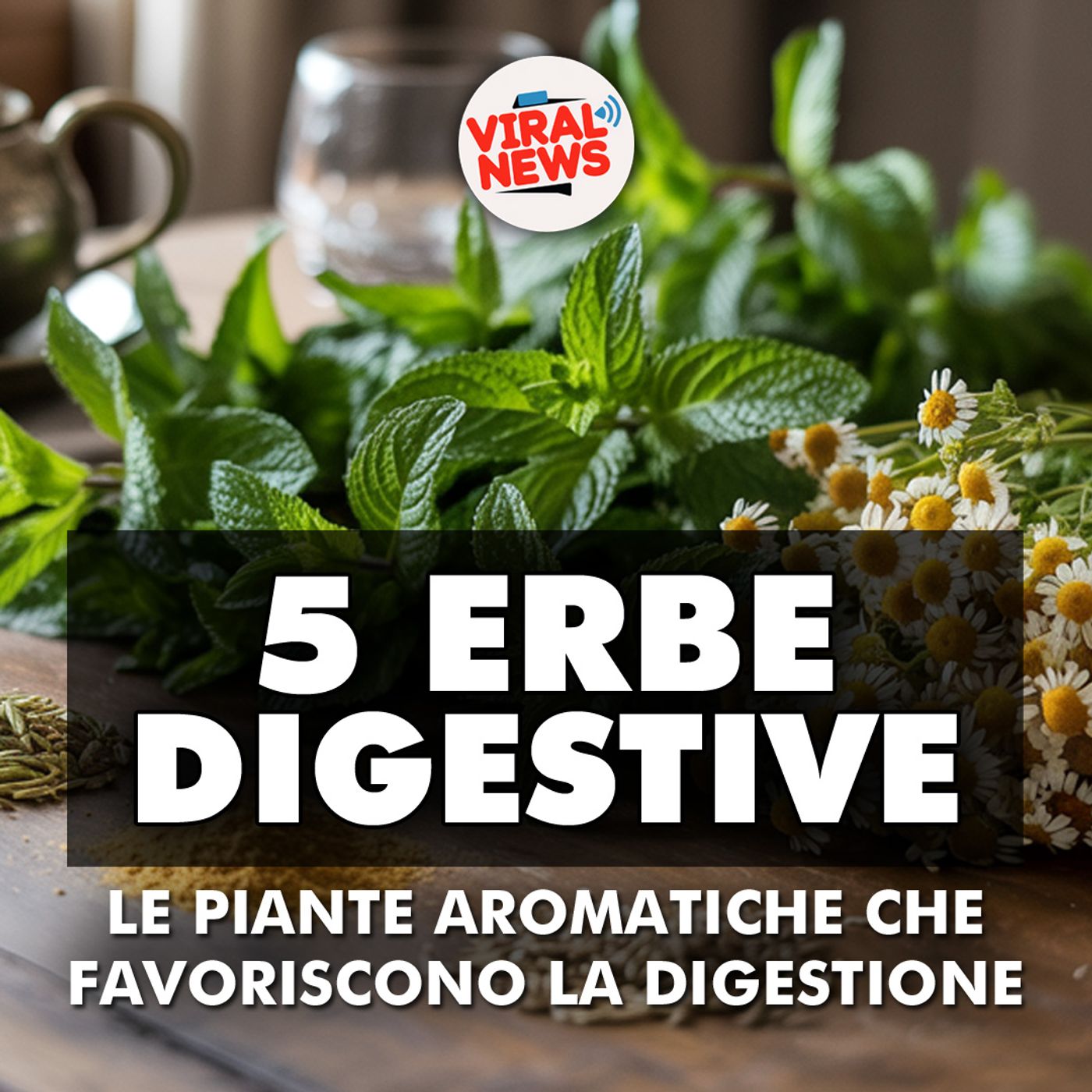 ERBE DIGESTIVE: 5 piante aromatiche che favoriscono la digestione e riducono gonfiore episode artwork