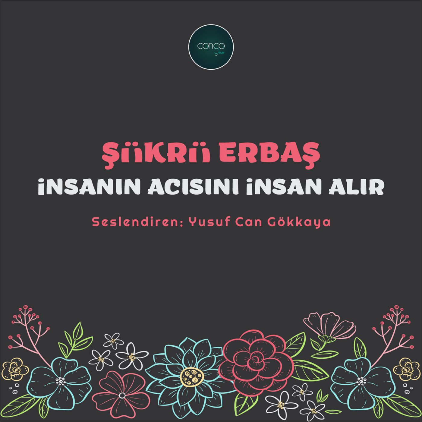 Şükrü Erbaş - İnsanın Acısını İnsan Alır episode artwork