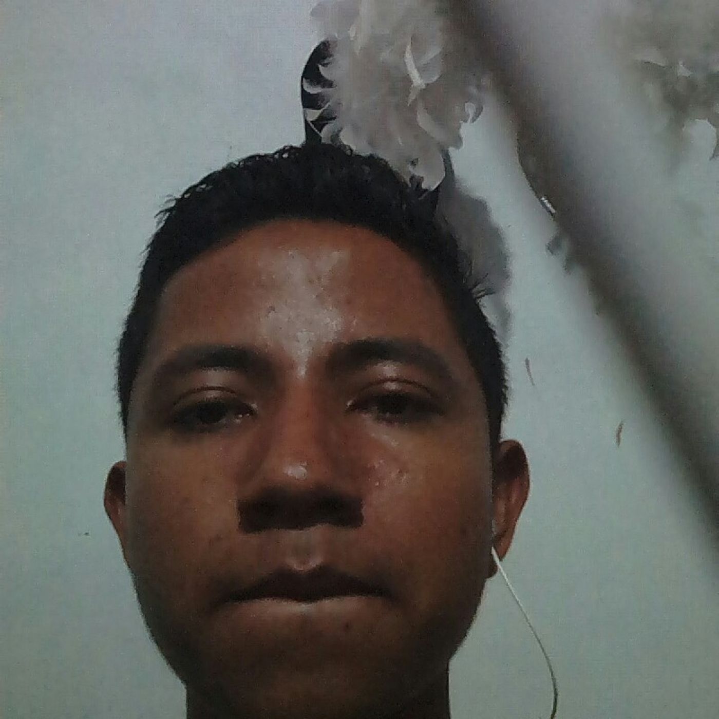 Compositor Javiercito