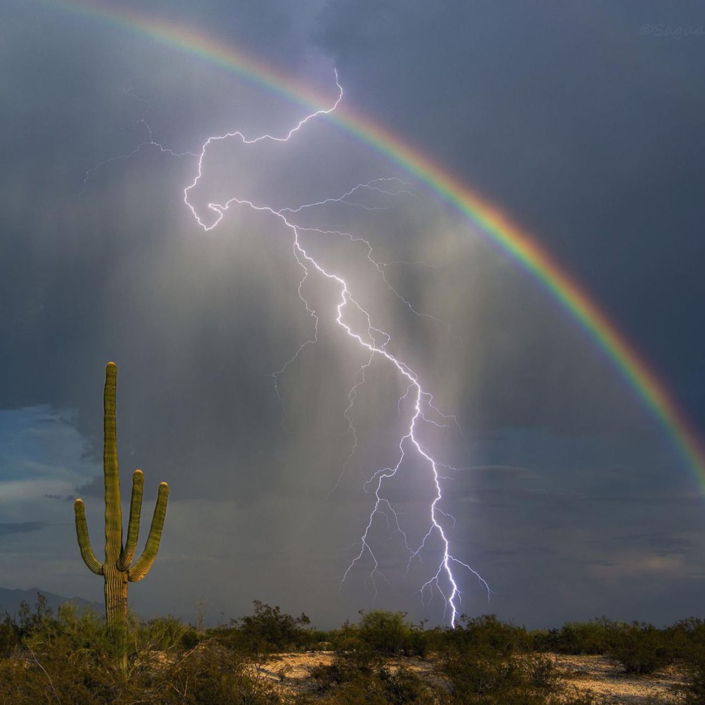 Gorehound's Metal Session
