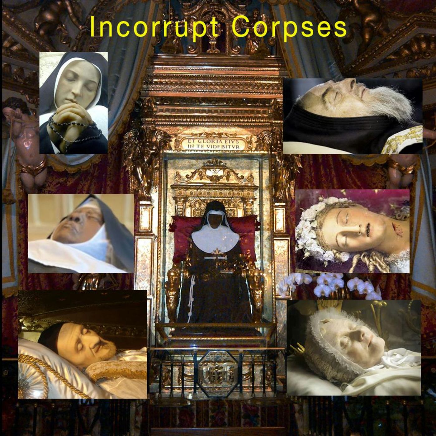 294 - Incorruptibles