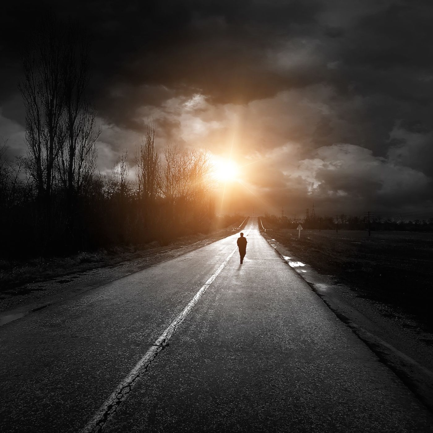 Gorehound's Metal Session