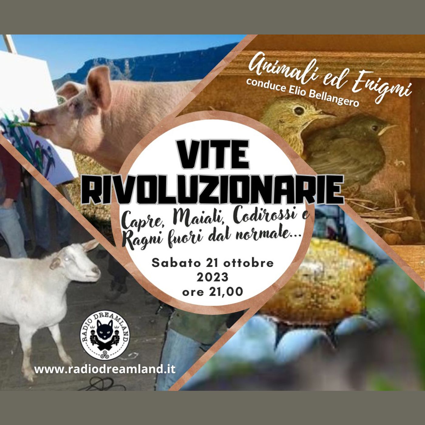 Vite rivoluzionarie episode artwork