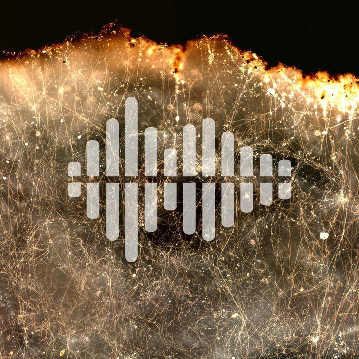Science Time Podcast