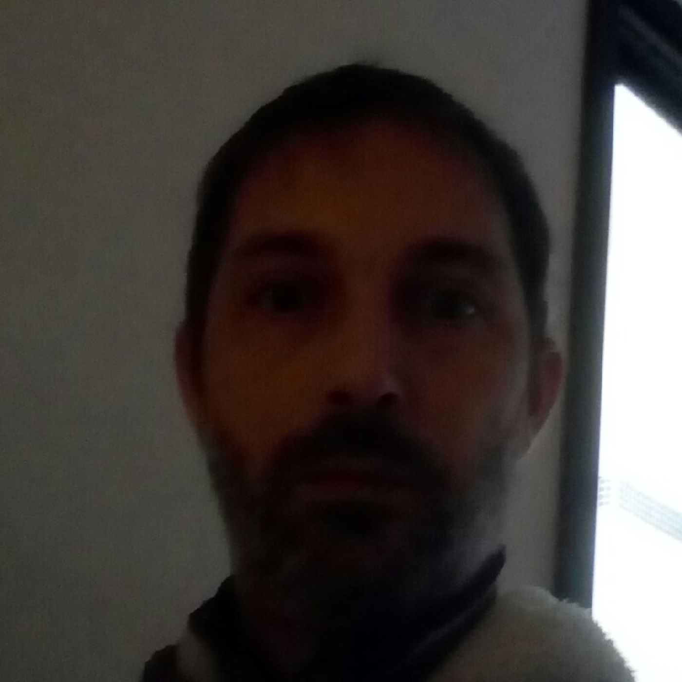 Lo show di stefano ippolito