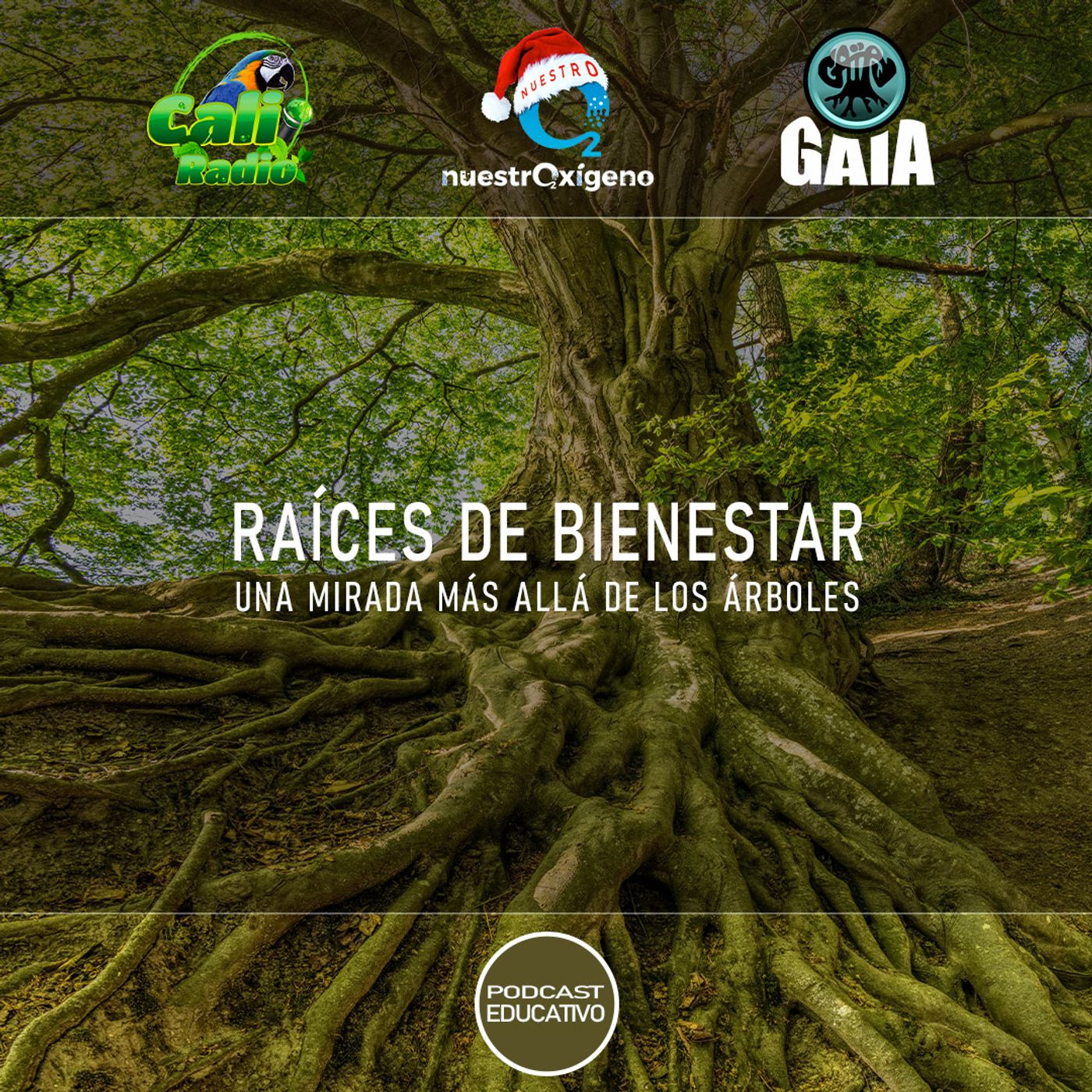 NUESTRO OXÍGENO Raíces de bienestar, una mirada más allá de los árboles episode artwork