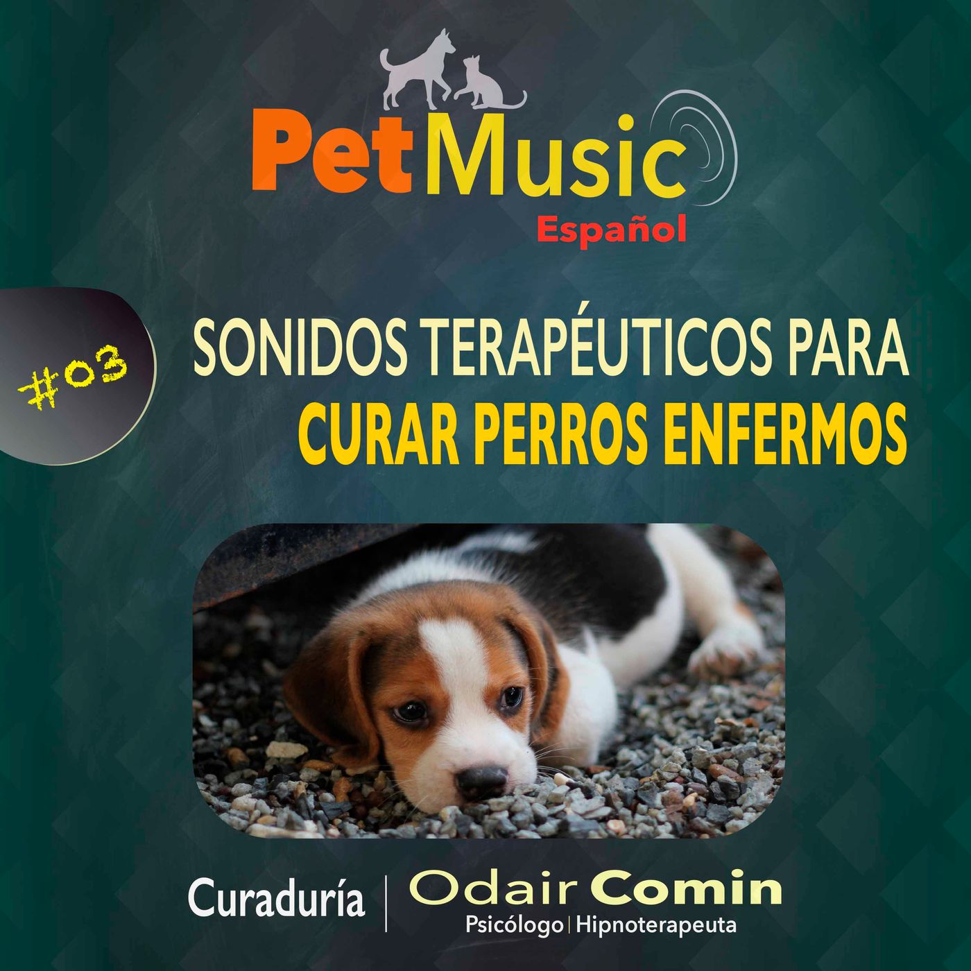 #03 Sonidos Terapéuticos para Curar Perros Enfermos | PetMusic