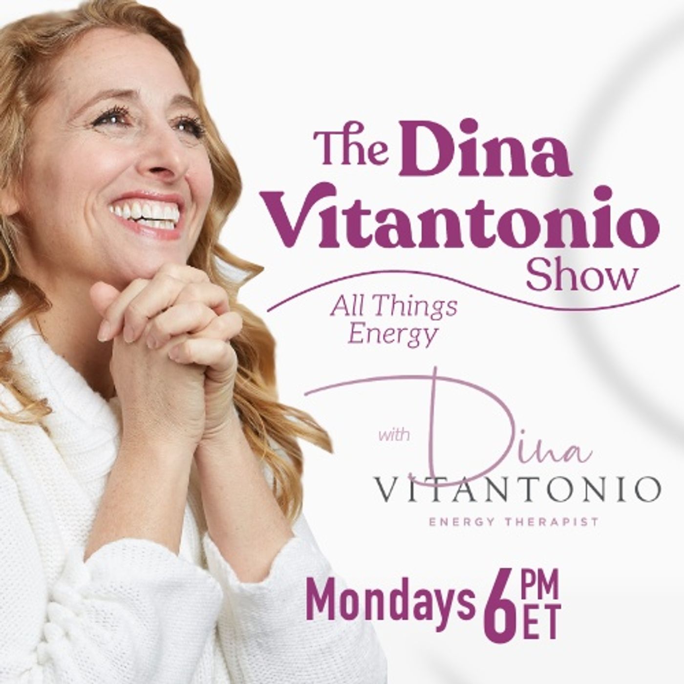 The Dina Vitantonio Show Image
