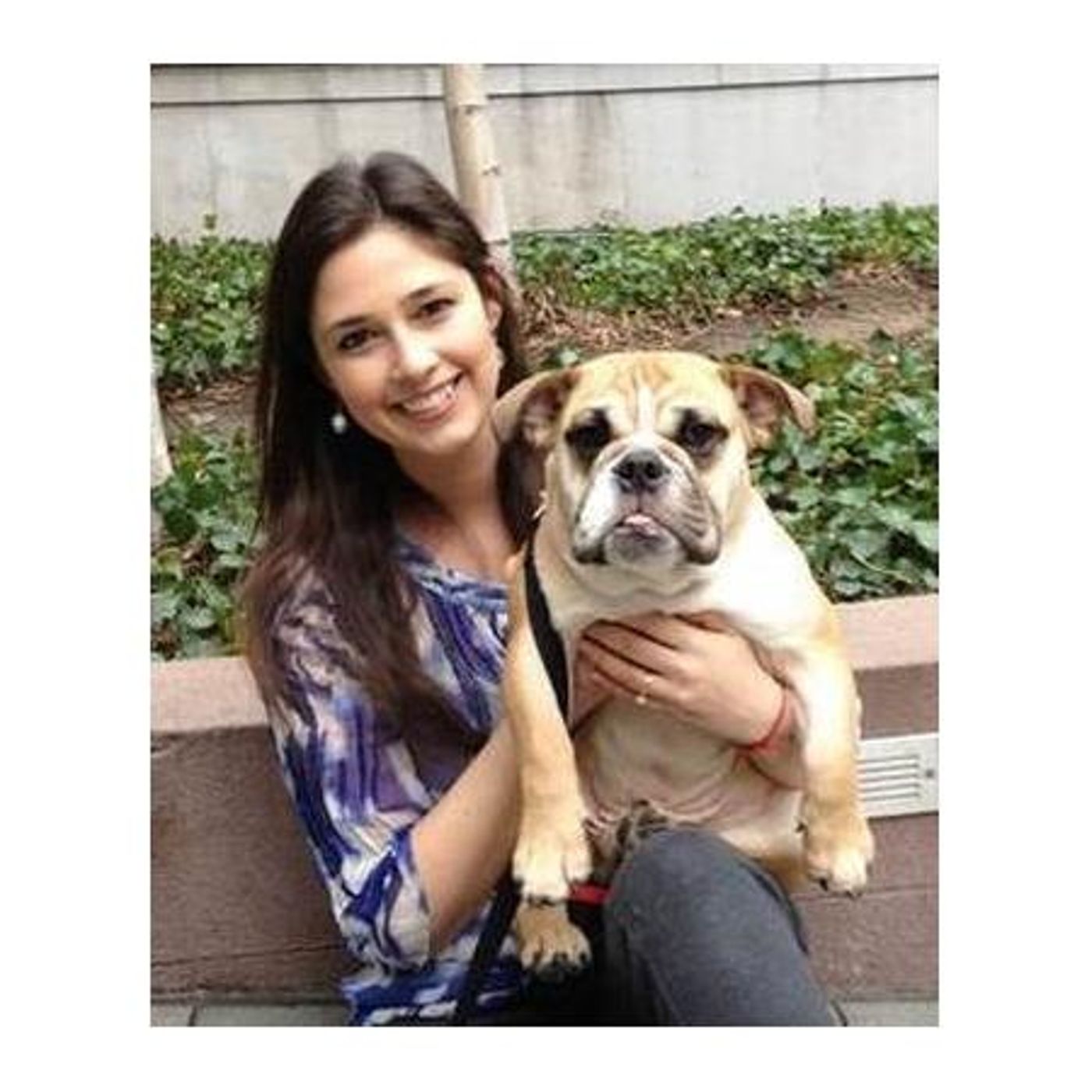 Honoring our communication with our pets as energetic beings episode artwork