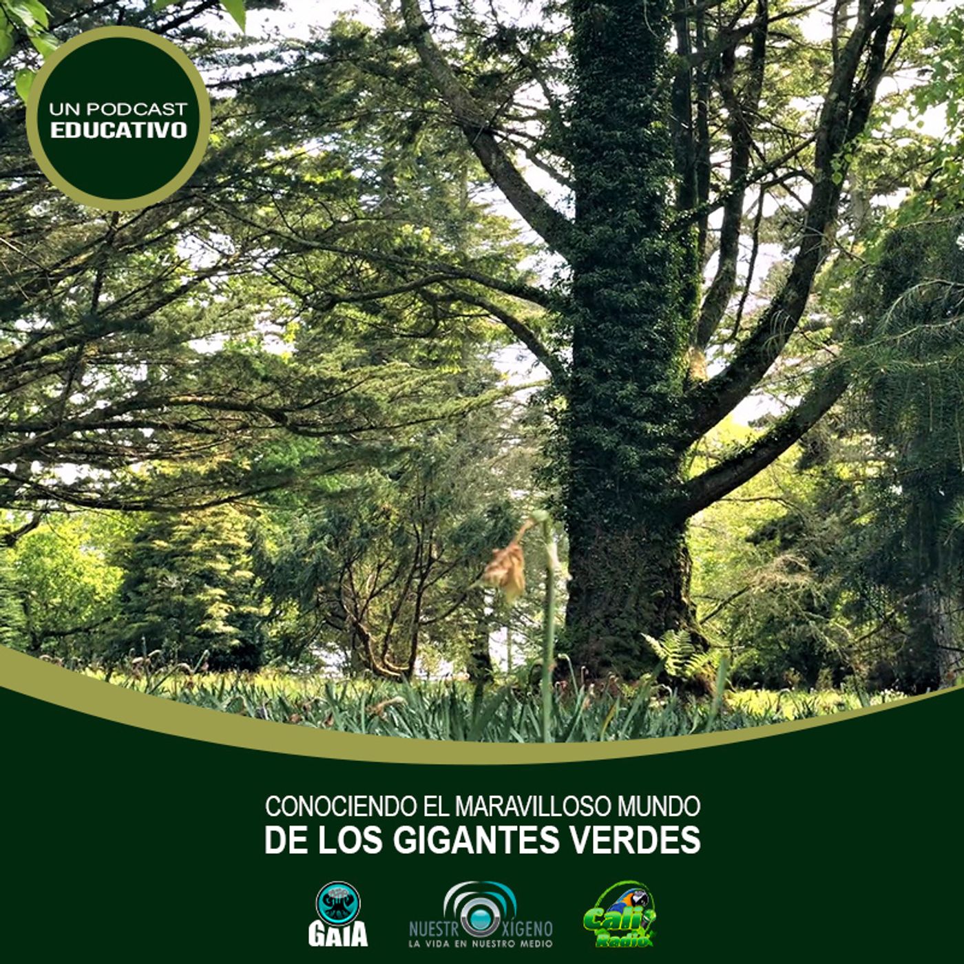 2023 Nuestro oxigeno 11- Noviembre