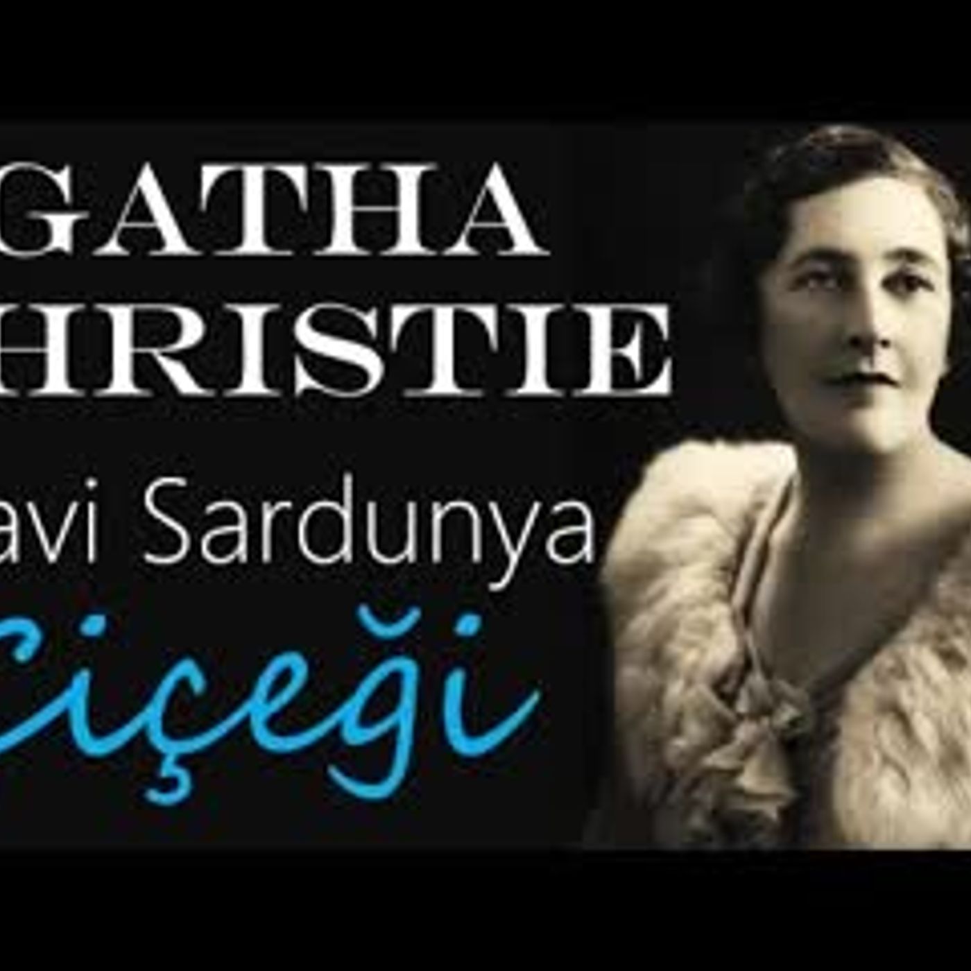 Akın Altan Sesli Kitap