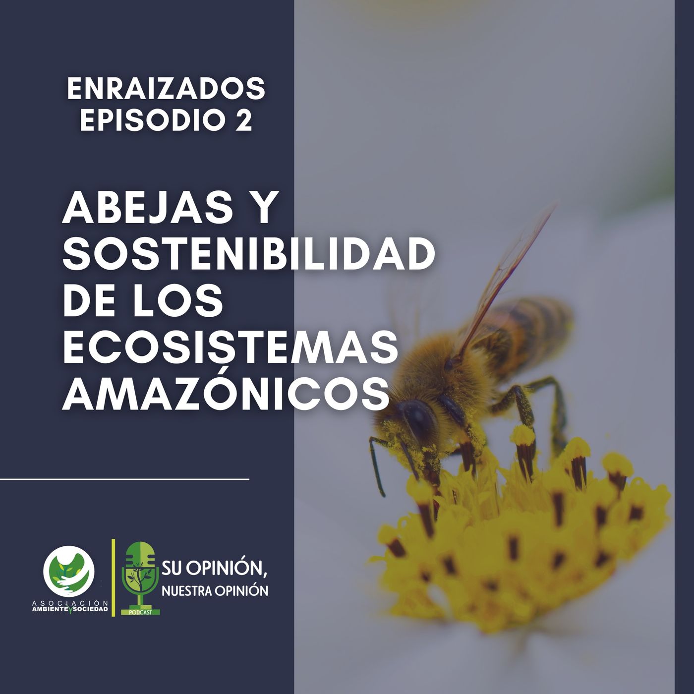 Ambiente y Sociedad