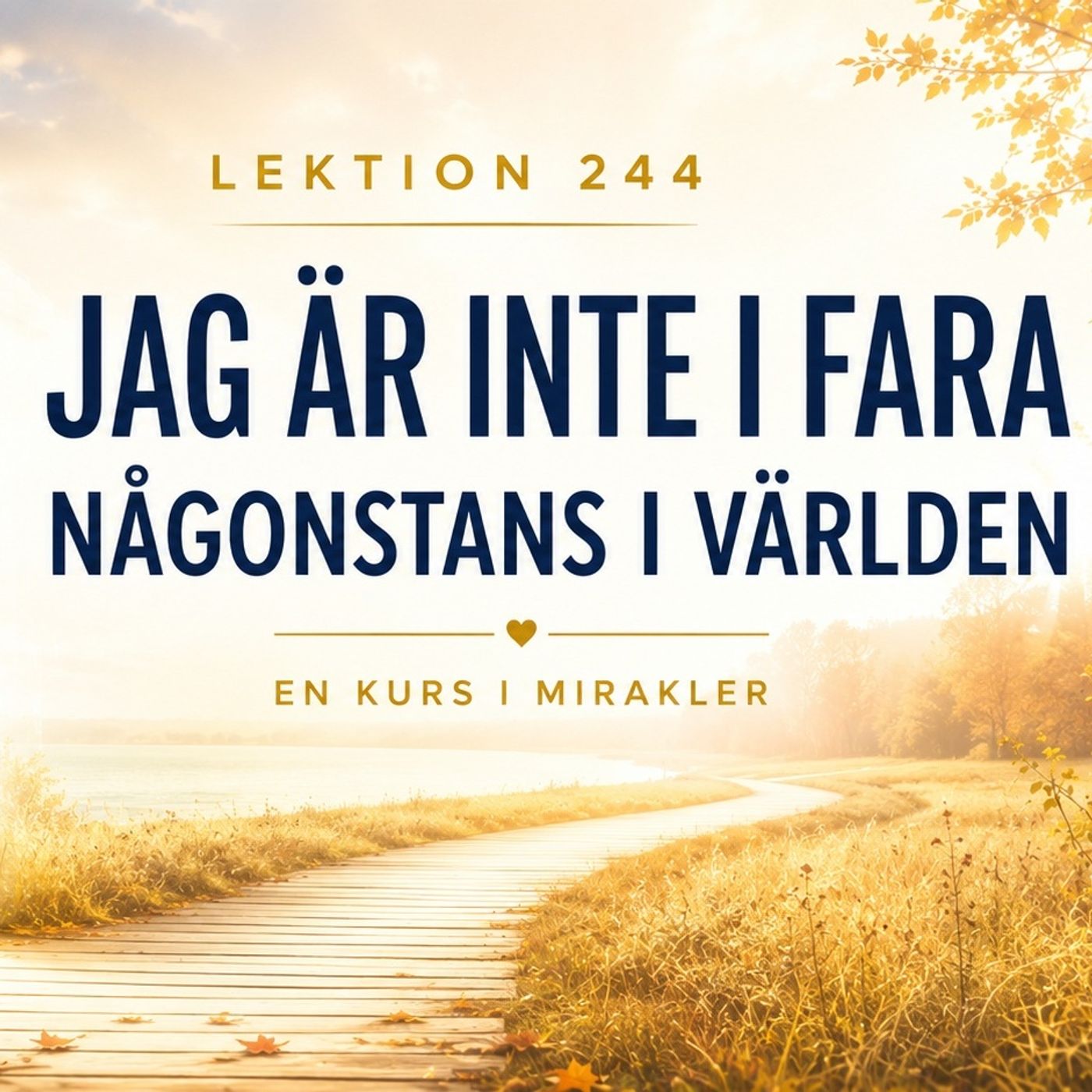 181 Lektion 244 – Jag är inte i fara någonstans i världen | Meditation | En Kurs i Mirakler episode artwork