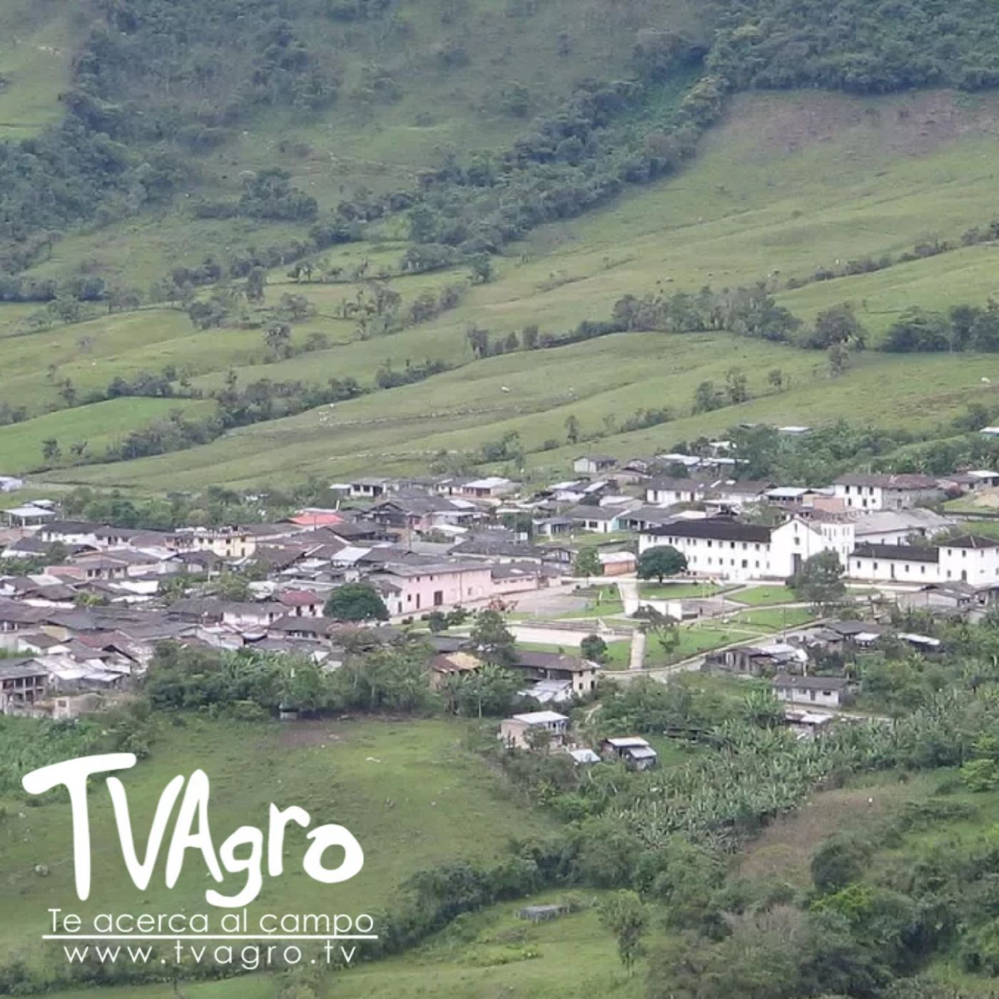 TV AGRO