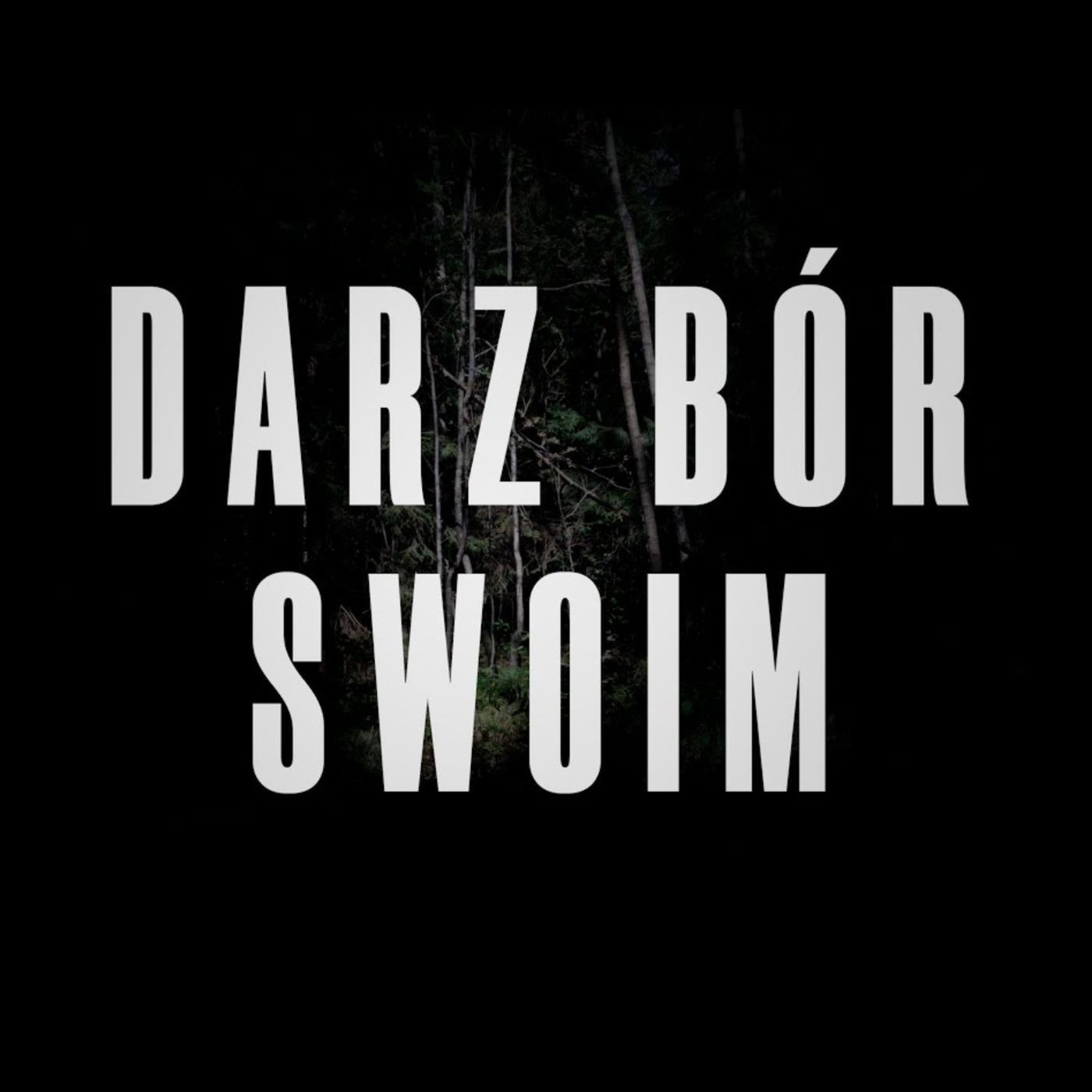 Darz bór swoim / Patologia w Lasach Państwowych / Leśnicy wyjdą na ulicę?