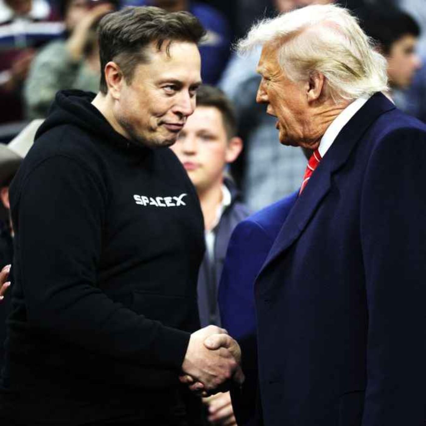 Trump v Musk: who won?