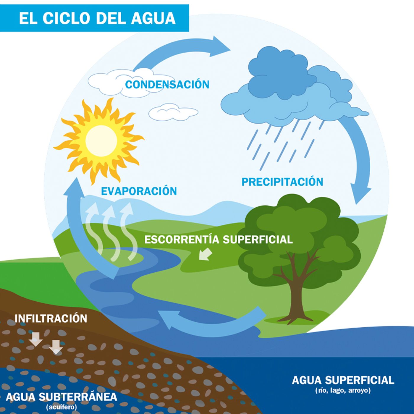 Podcast "El ciclo del agua" episode artwork