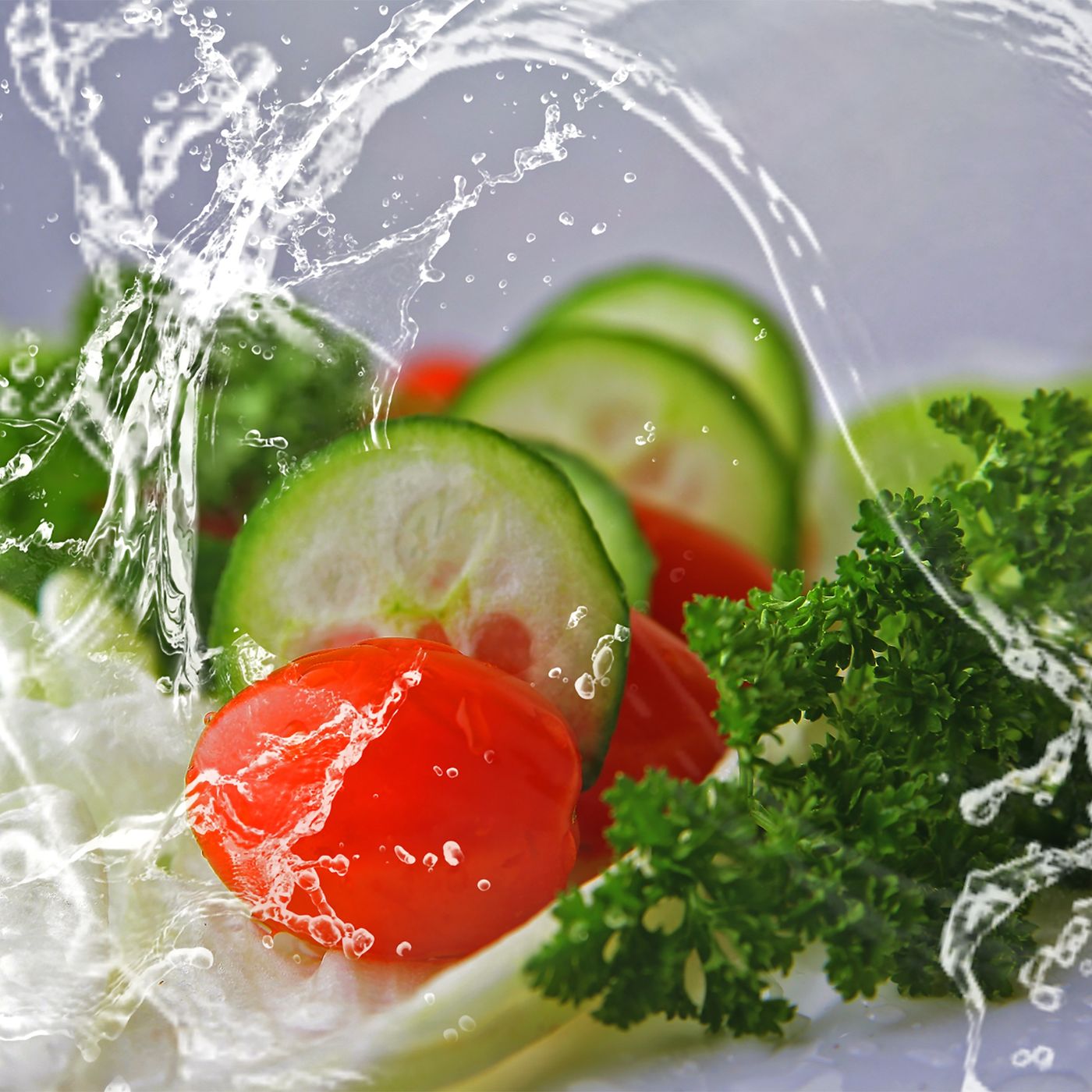 Evolution of Nutrition - Back to Basics