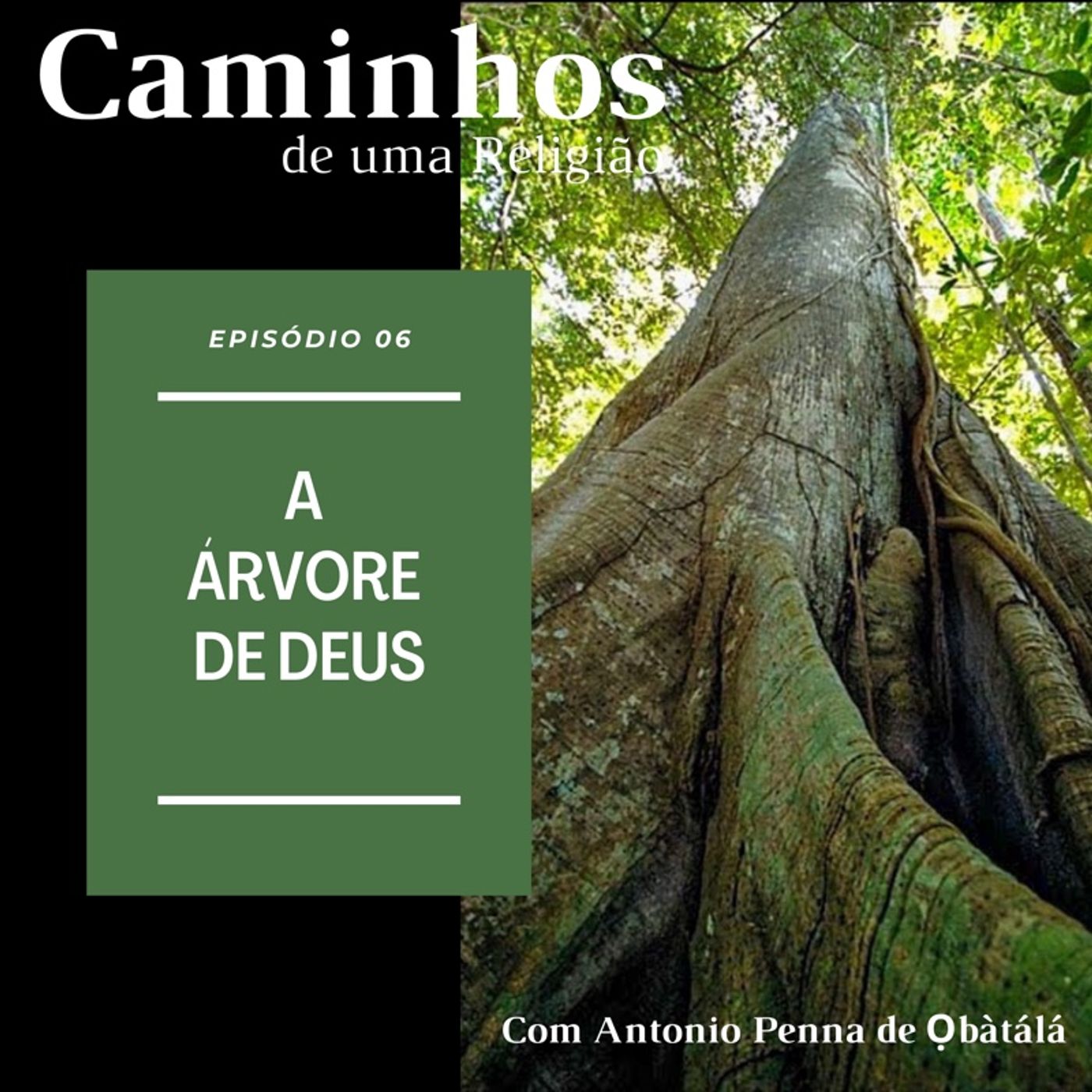 T01_Ep 06 - A Árvore de Deus