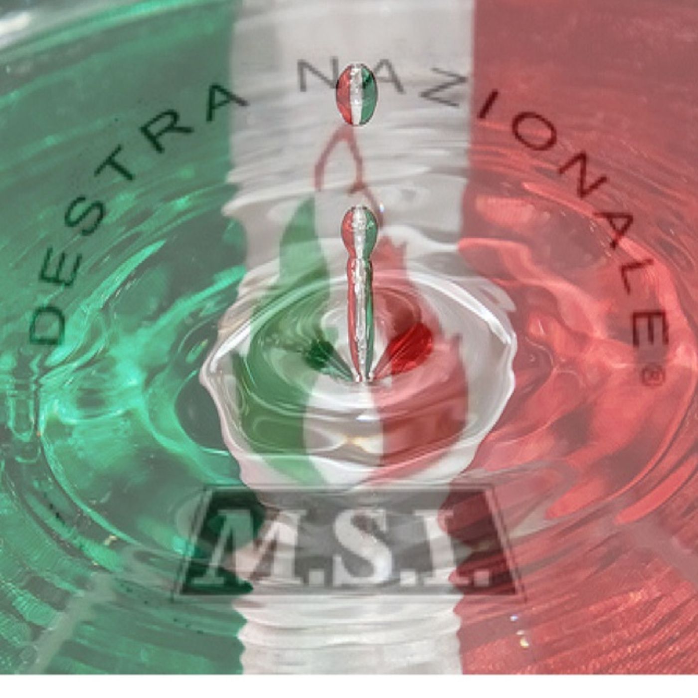 MSI-DN Piemonte News