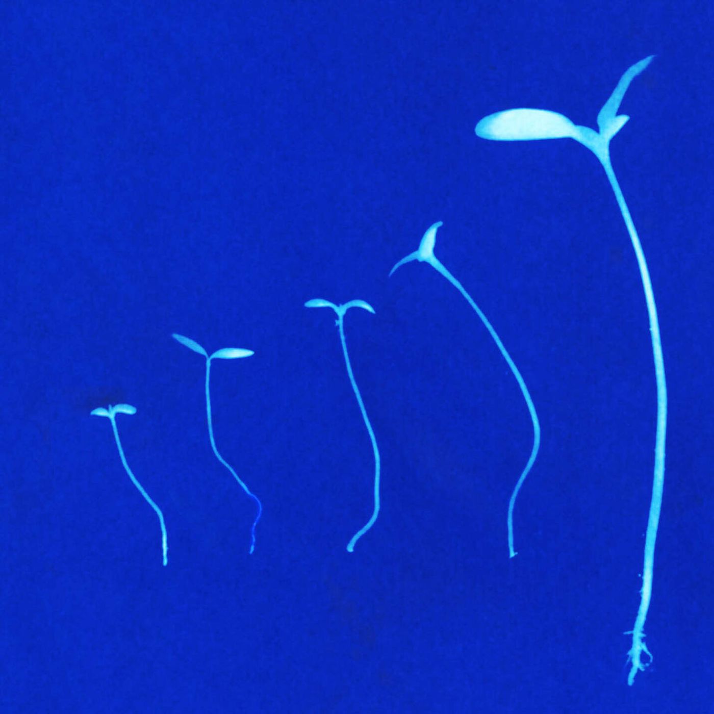 Need To Make A Change? Behavioral Science Can Help episode artwork