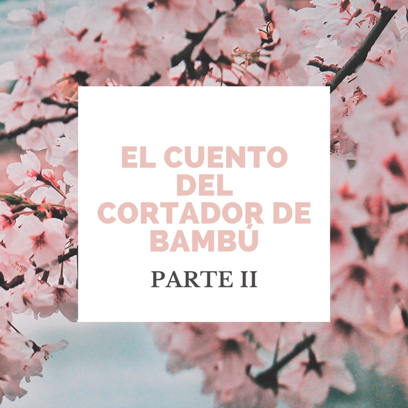 El Cuarto De Atrás