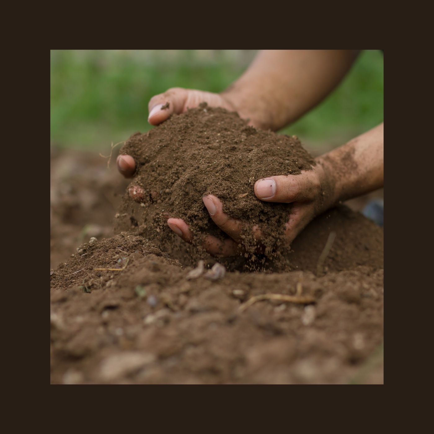 Giardino Futuro