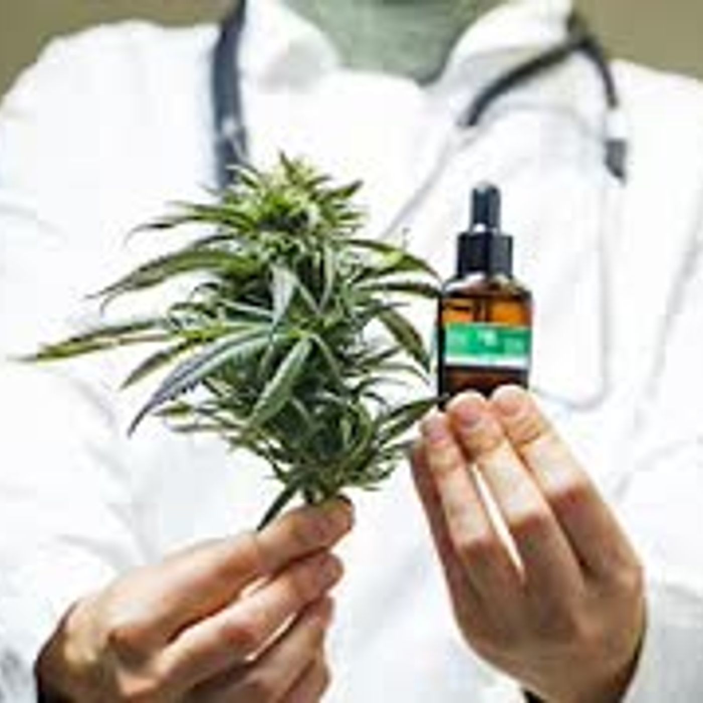 CBD, the Cure or Snake Oil Is it safe Flower and Tonic CEO Founder Alissa Merrill on In The Weeds