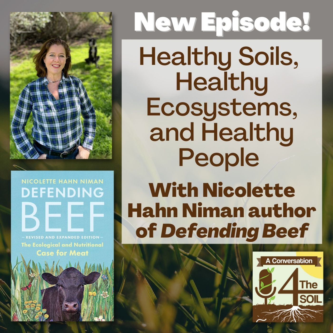 4 The Soil: A Conversation