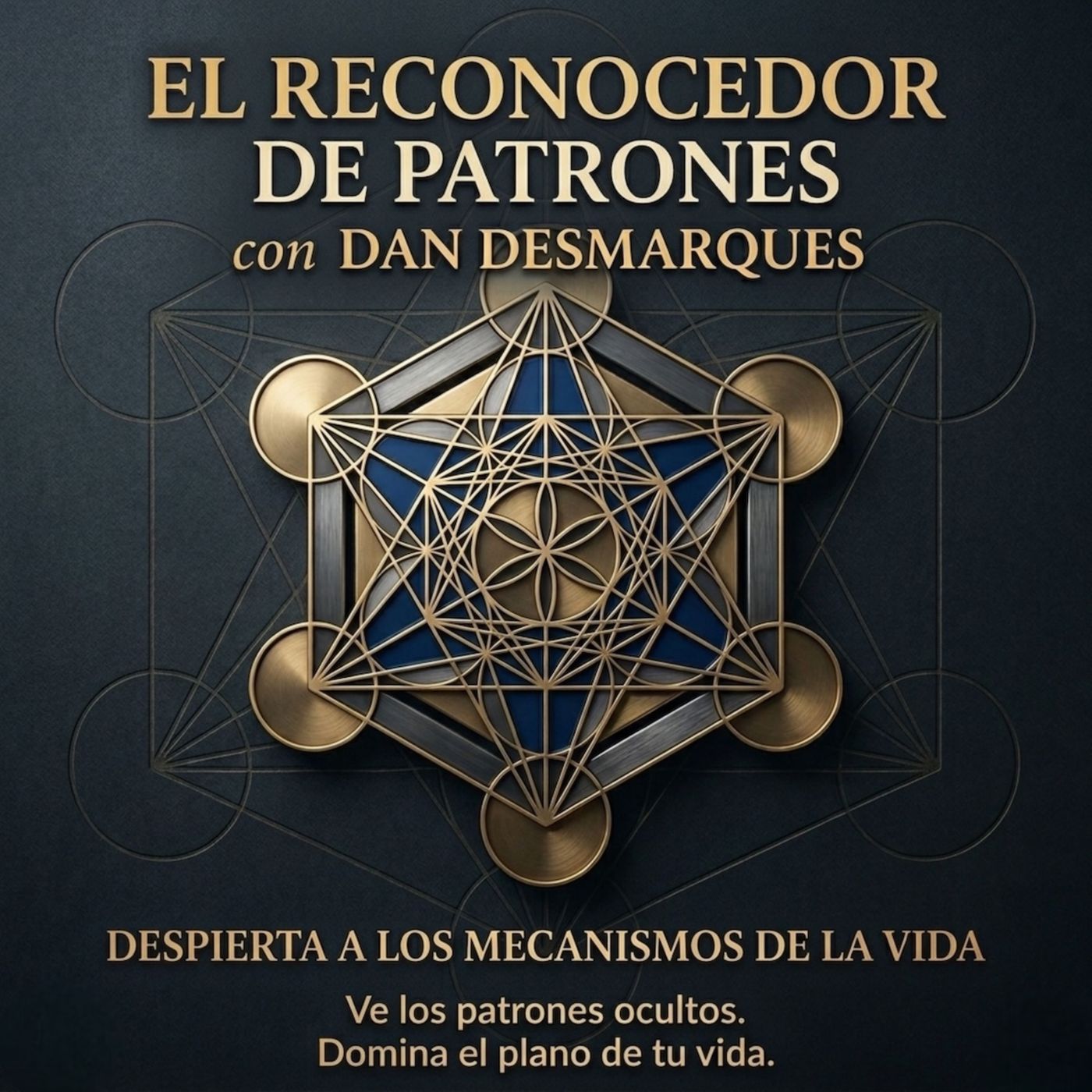 El Reconocedor de Patrones