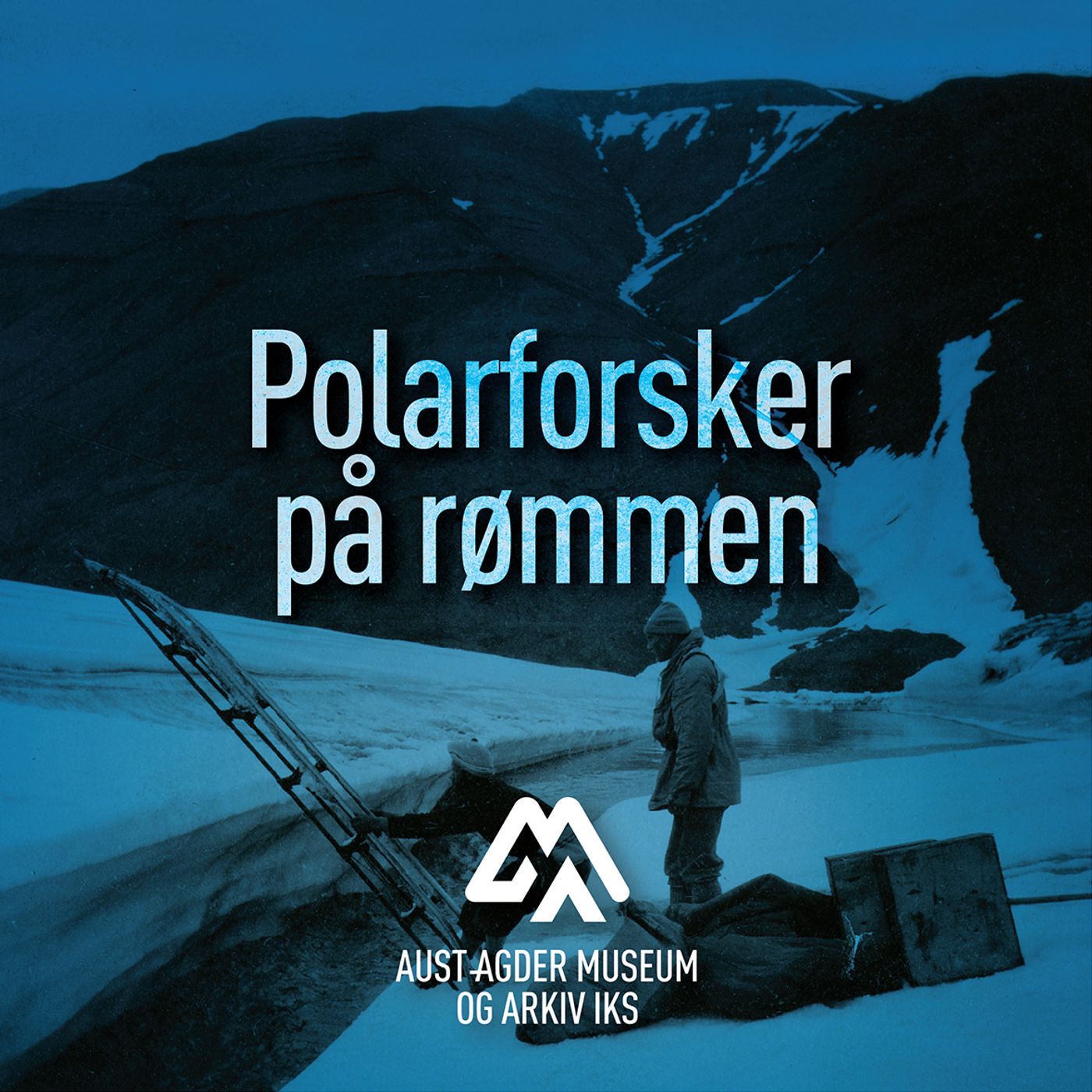 Polarpionerene