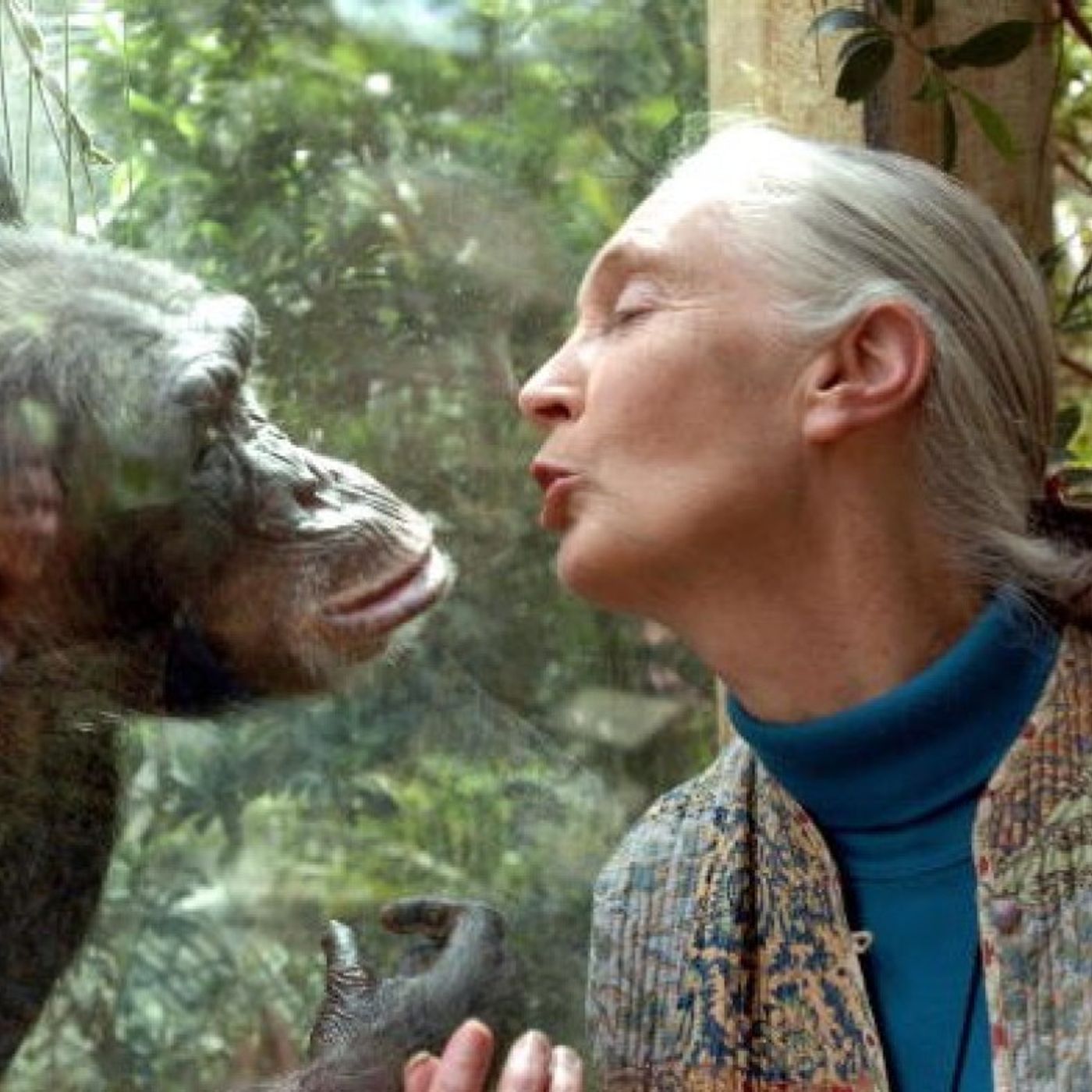 “Pensa globale, agisci locale”: cosa significa la frase di Jane Goodall