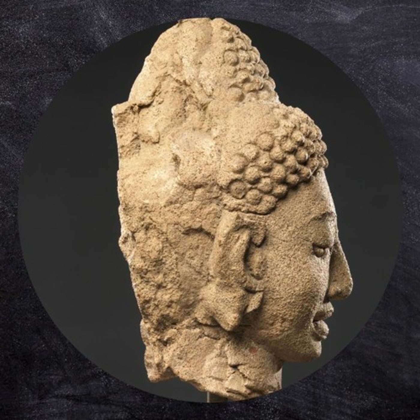 Argument za studiowaniem - Bhikkhu Bodhi [LEKTOR PL]